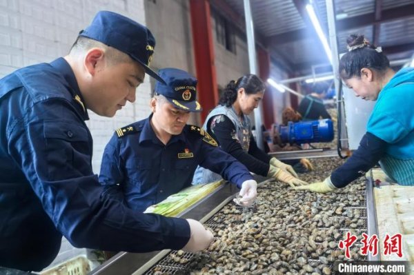 配資上市公司一覽表 搭乘RCEP東風(fēng) 遼寧特色水產(chǎn)品爭“鮮”出海